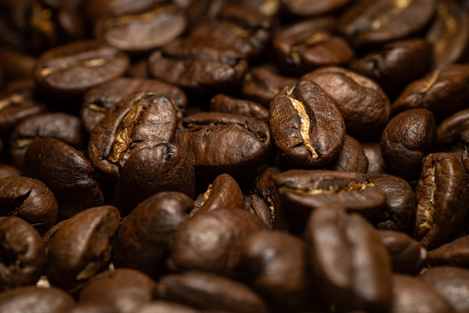 Roasted coffee beans photographed close up